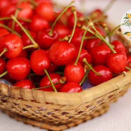 Zagare E Limoni Apartman Ostuni Kültér fotó