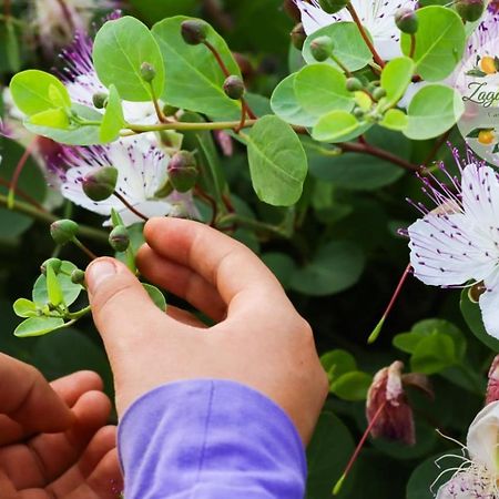 Zagare E Limoni Apartman Ostuni Kültér fotó