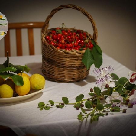 Zagare E Limoni Apartman Ostuni Kültér fotó