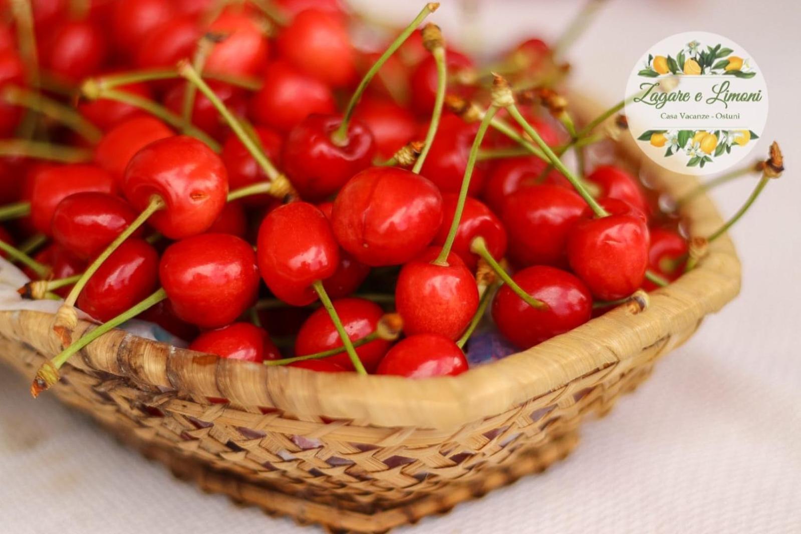 Zagare E Limoni Apartman Ostuni Kültér fotó