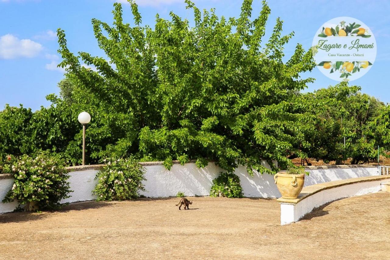 Zagare E Limoni Apartman Ostuni Kültér fotó